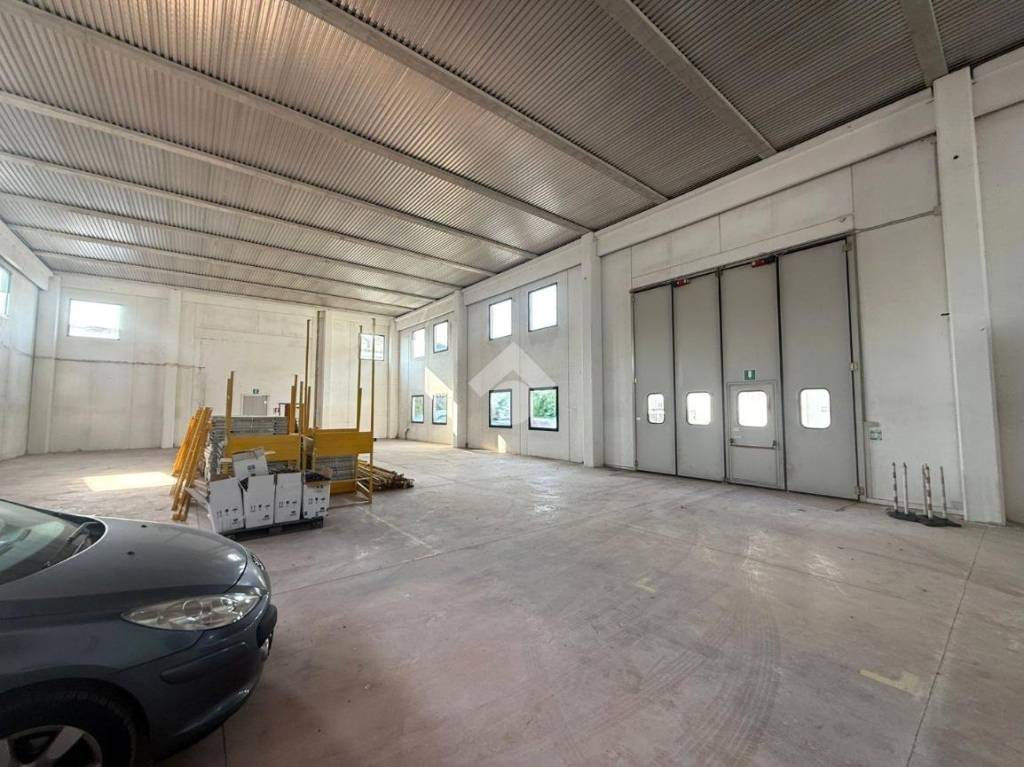 immagine annuncio 6 di 11