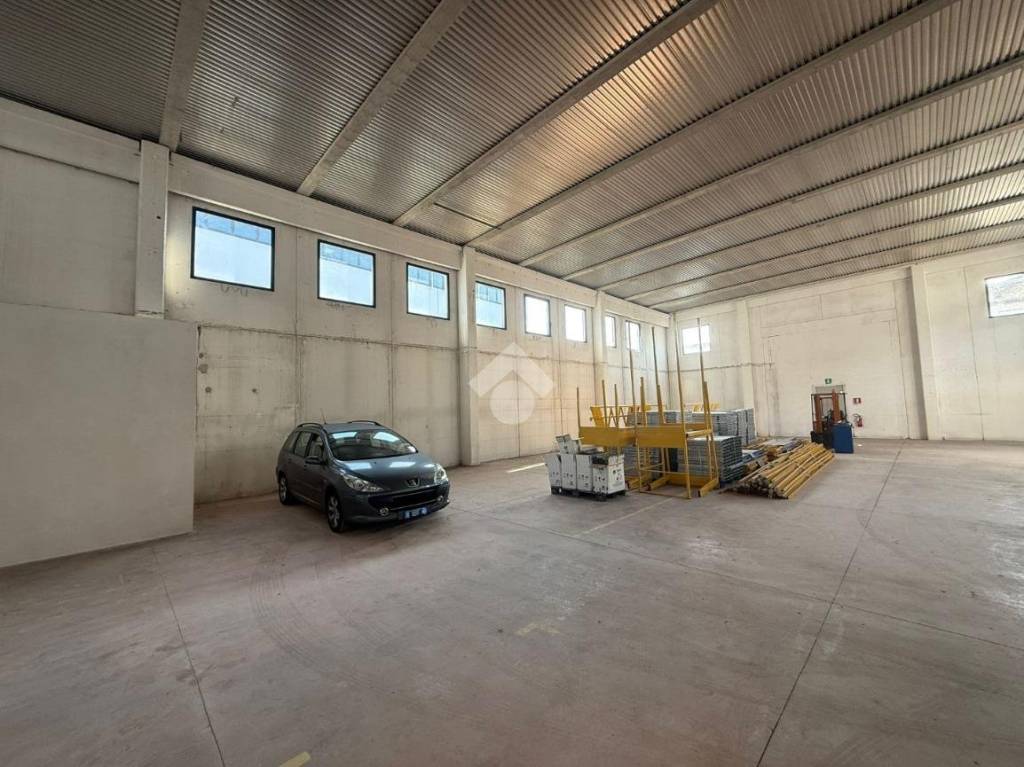 immagine annuncio 7 di 11