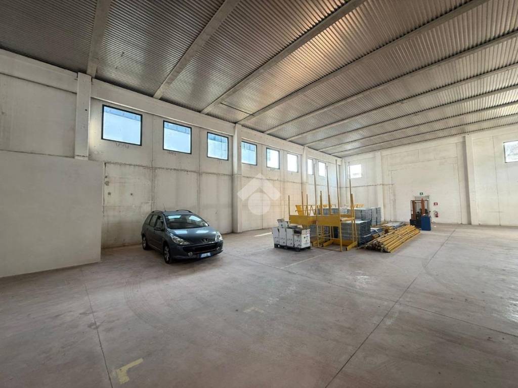 immagine annuncio 9 di 11