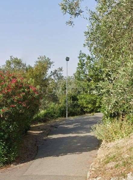 immagine annuncio 3 di 15