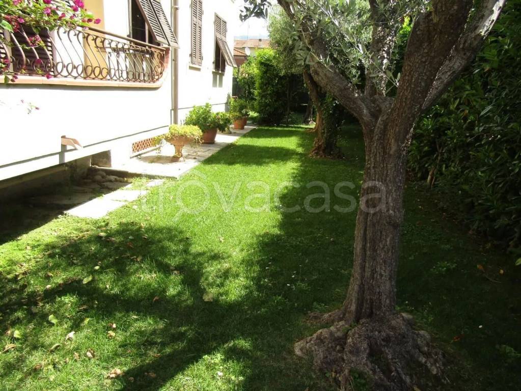 immagine annuncio 3 di 12