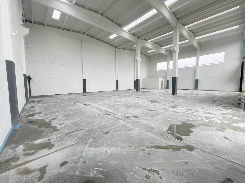 immagine annuncio 1 di 14