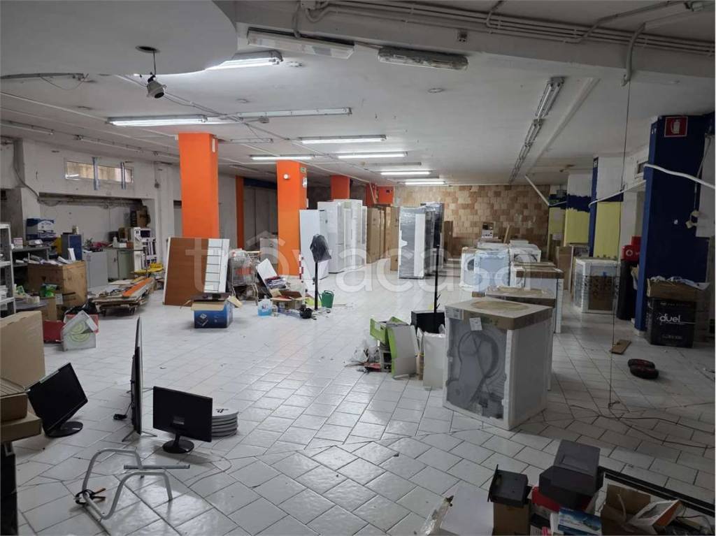 immagine annuncio 5 di 11