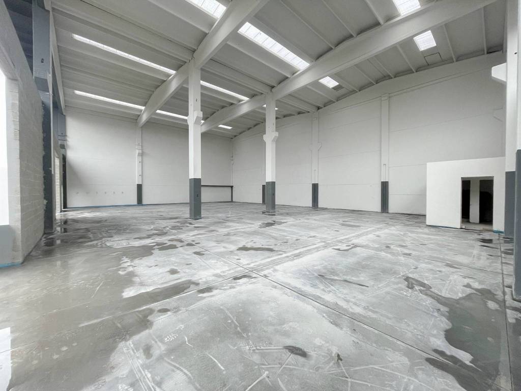 immagine annuncio 1 di 14