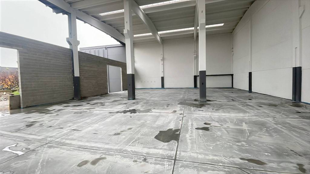 immagine annuncio 6 di 14