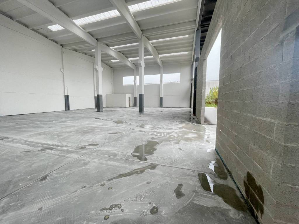 immagine annuncio 2 di 14