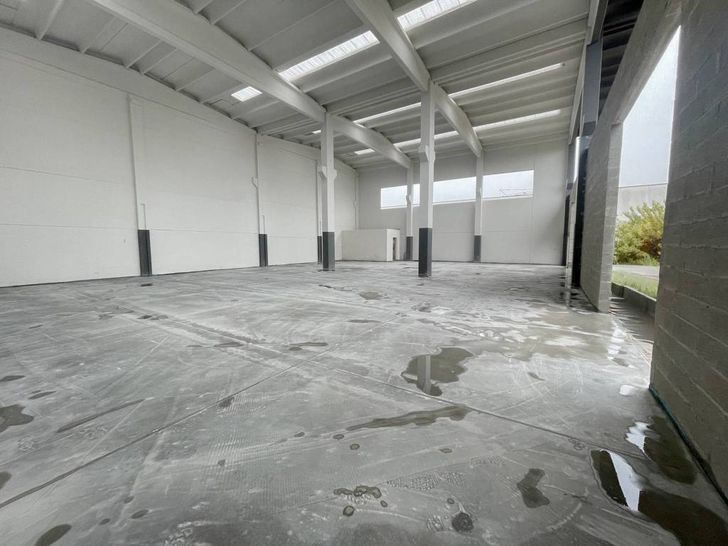 immagine annuncio 3 di 14