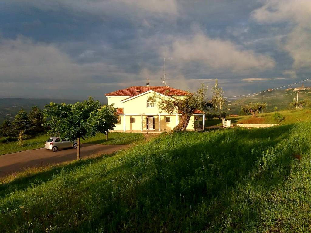 immagine annuncio 2 di 14