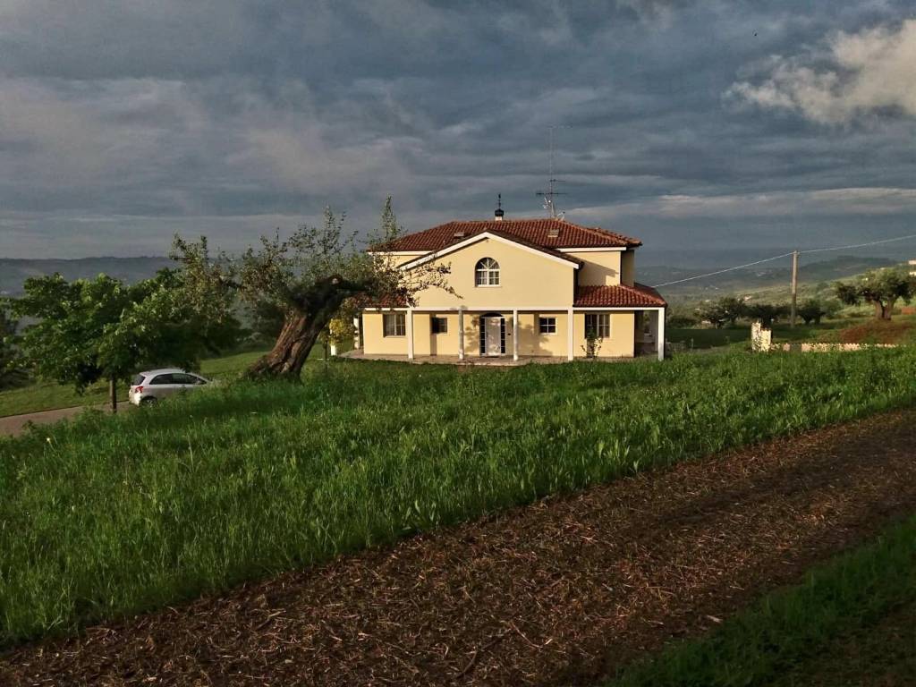 immagine annuncio 13 di 14