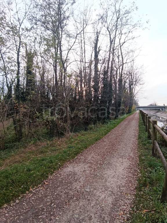 immagine annuncio 5 di 8