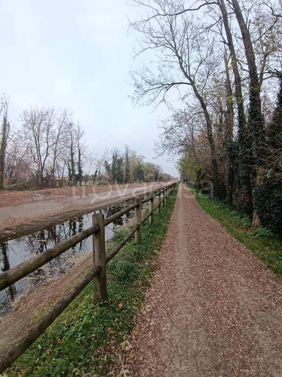 immagine annuncio 6 di 8