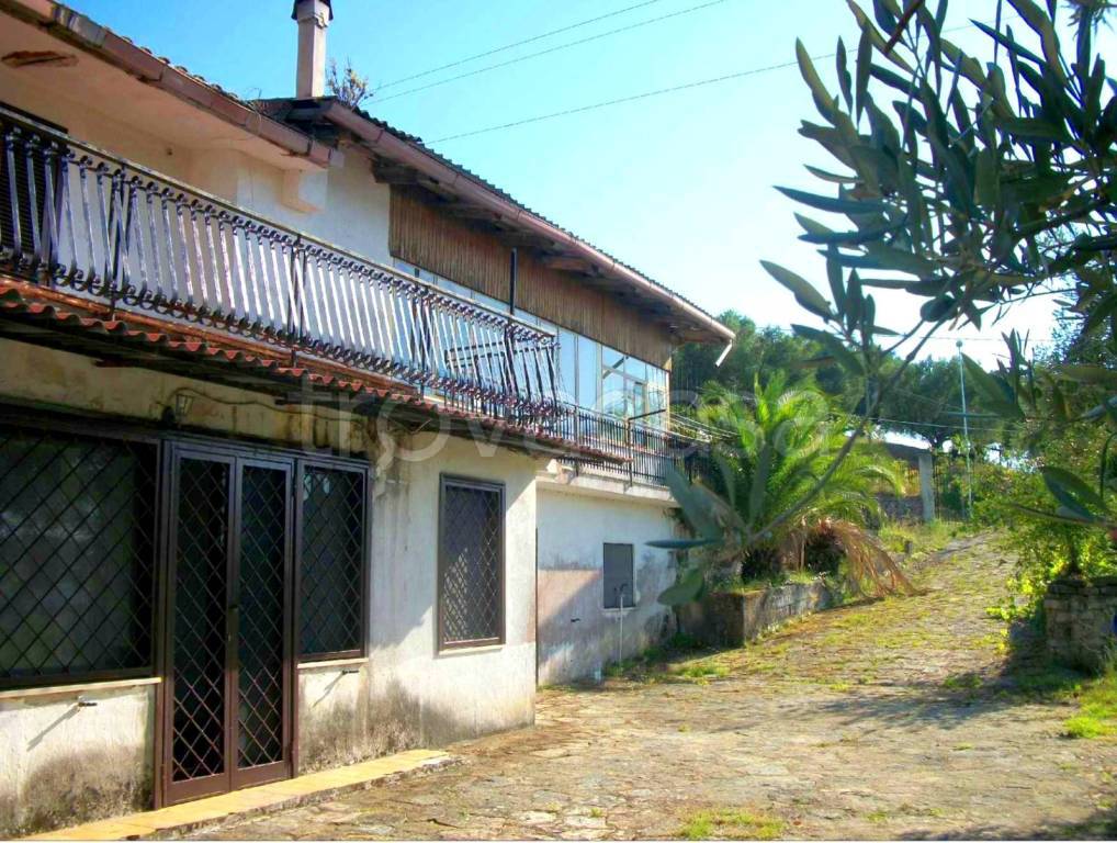 immagine annuncio 6 di 9