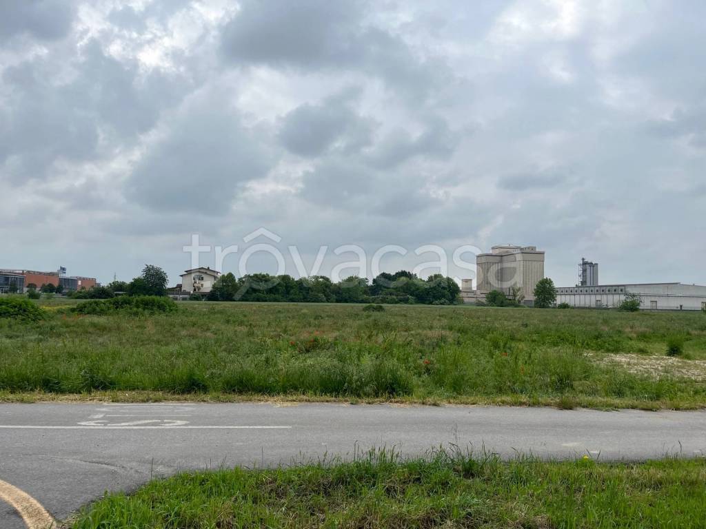 immagine annuncio 6 di 15