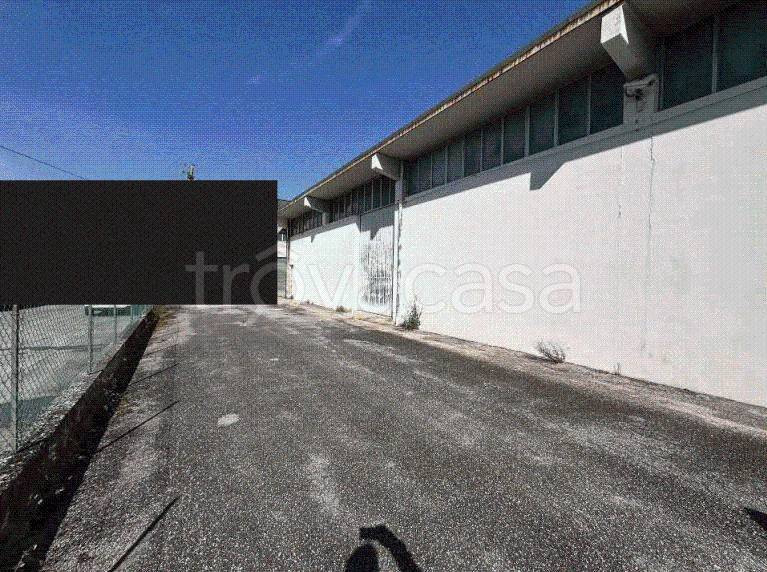 immagine annuncio 4 di 7