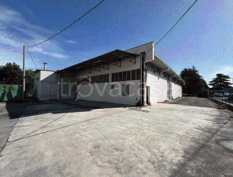 immagine annuncio 5 di 7