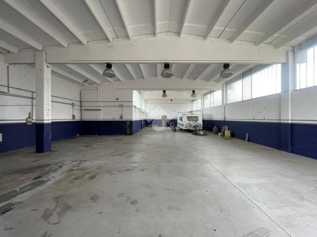 immagine annuncio 5 di 11