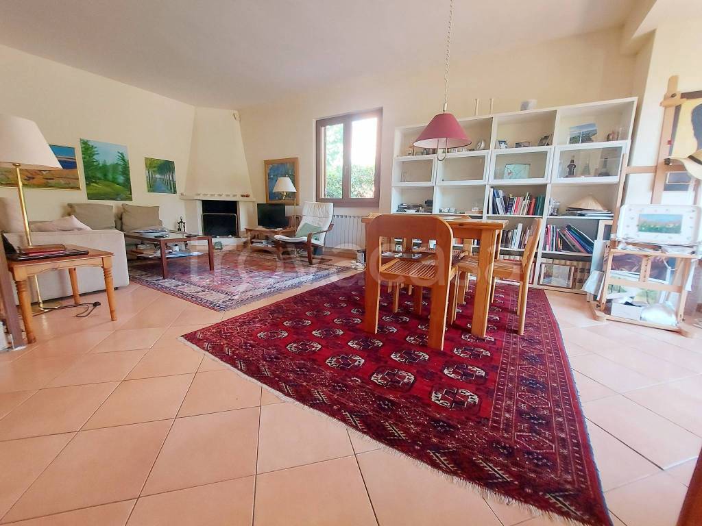 immagine annuncio 12 di 15