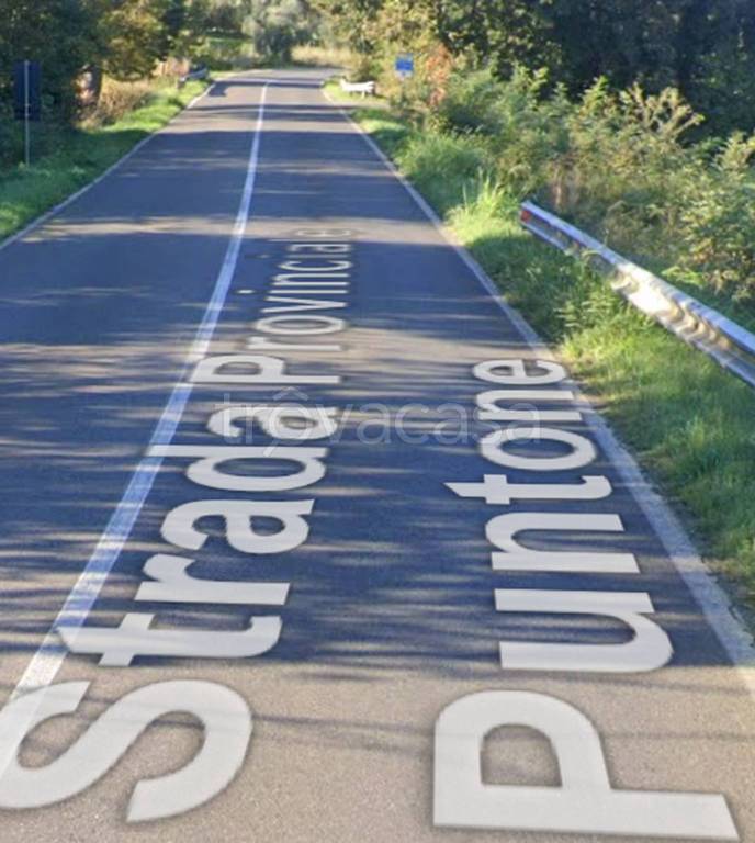 immagine annuncio 2 di 12