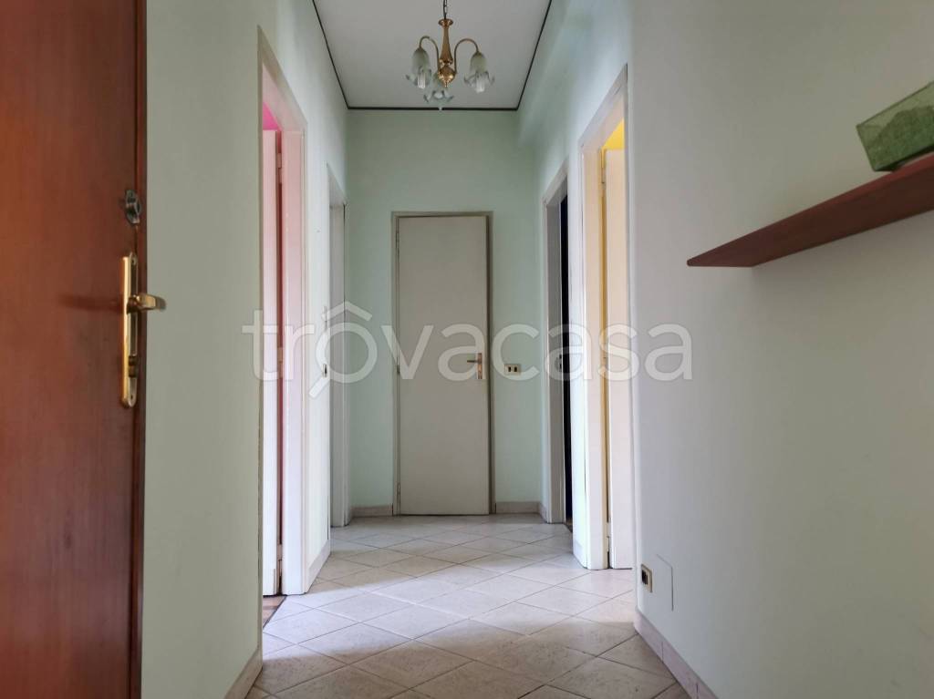 immagine annuncio 4 di 13