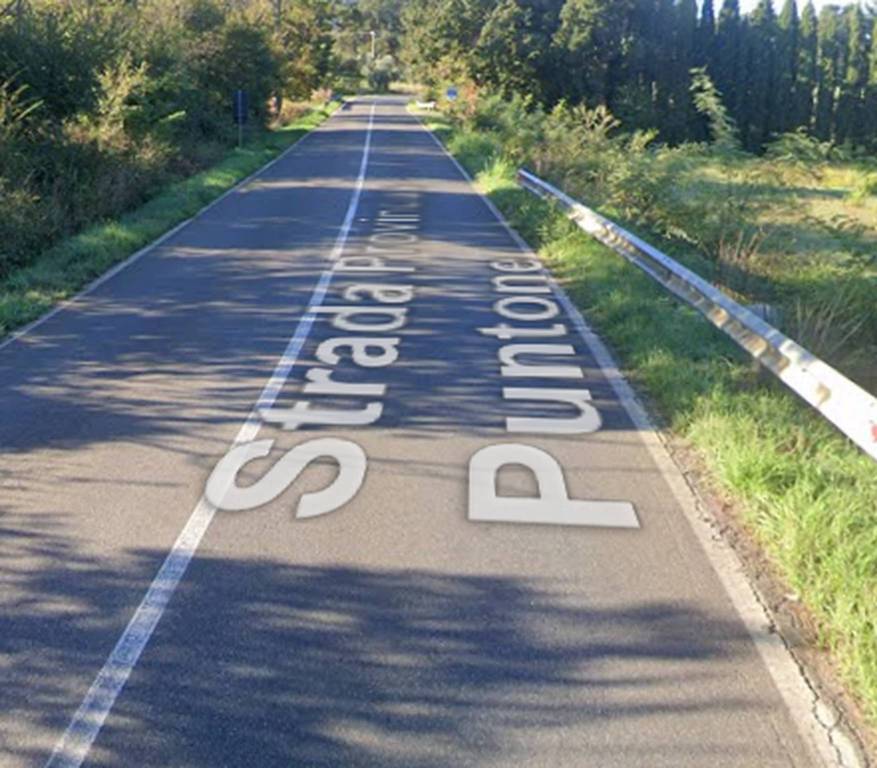 immagine annuncio 3 di 12