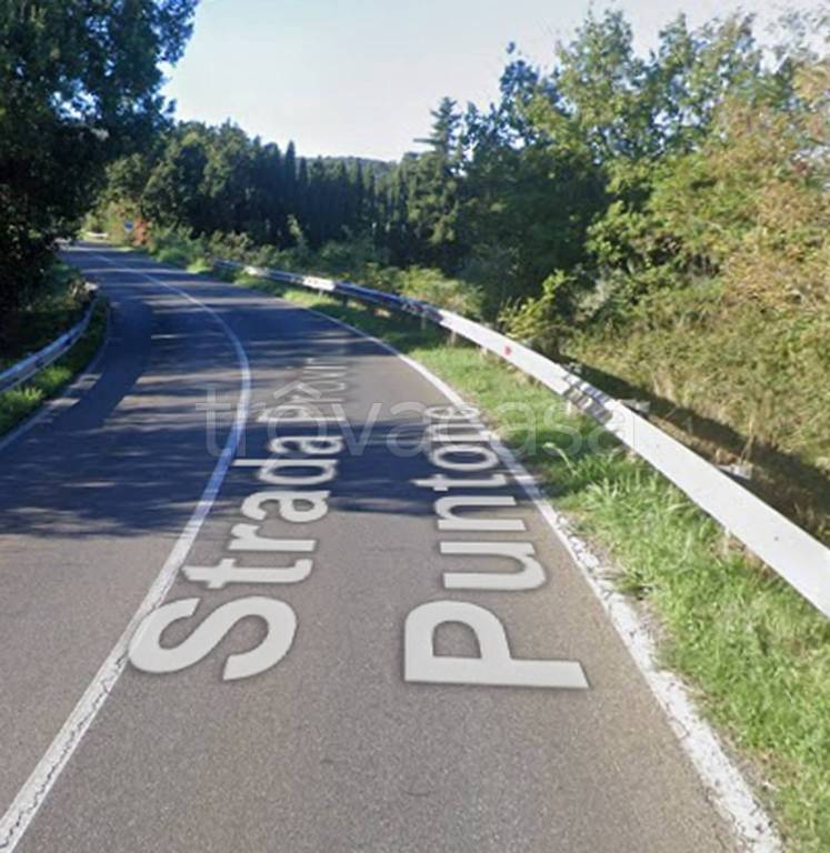 immagine annuncio 4 di 12