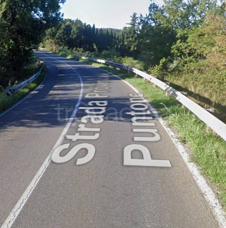 immagine annuncio 5 di 12