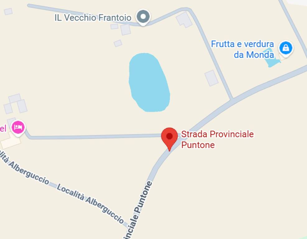 immagine annuncio 6 di 12