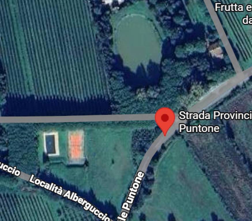 immagine annuncio 7 di 12