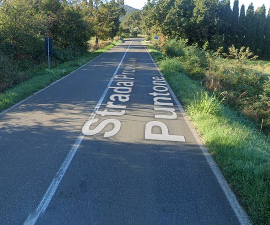 immagine annuncio 9 di 12