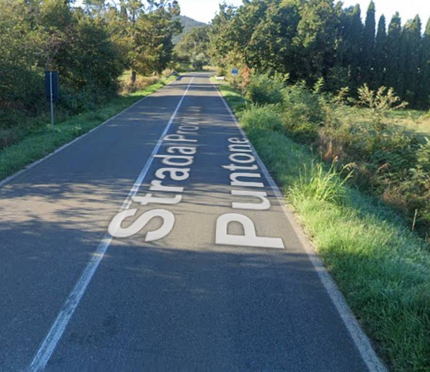 immagine annuncio 10 di 12