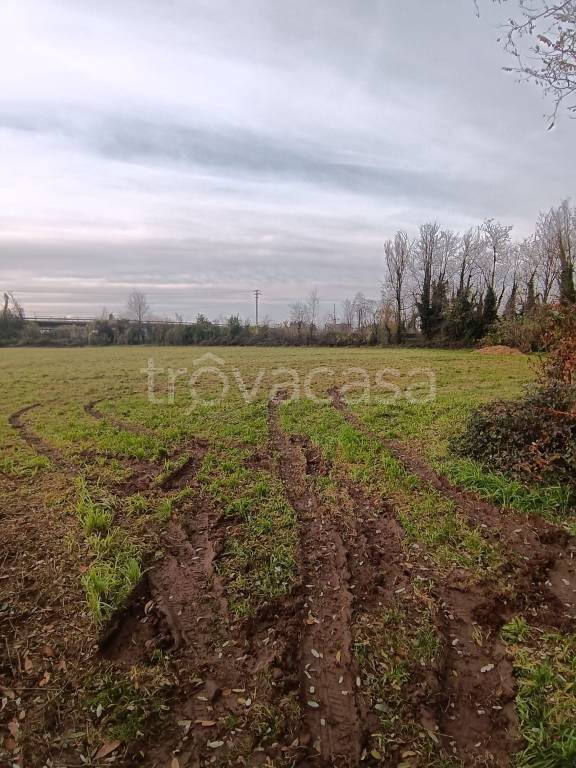 immagine annuncio 2 di 6