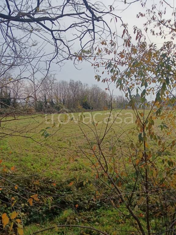 immagine annuncio 4 di 6