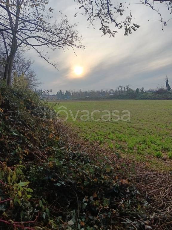 immagine annuncio 5 di 6