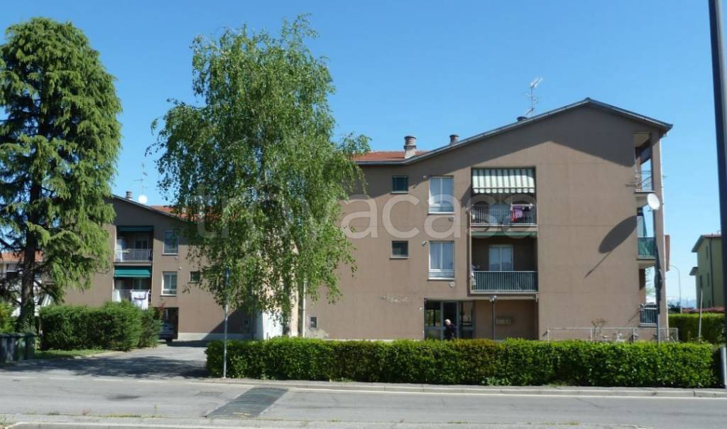 immagine annuncio 1 di 14