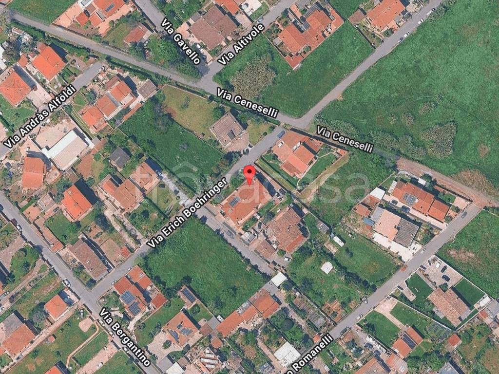 immagine annuncio 2 di 12