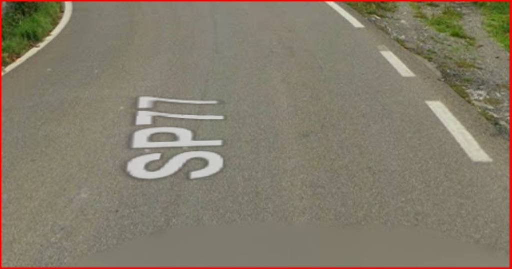 immagine annuncio 3 di 14