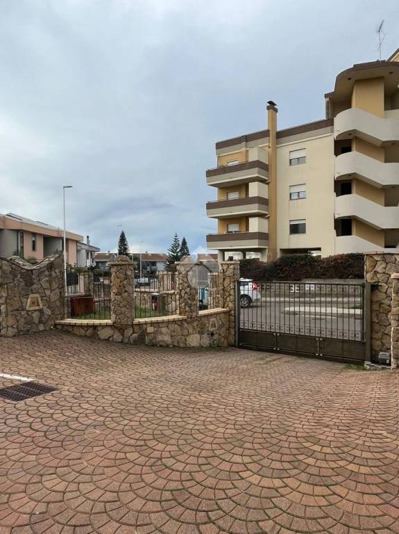 immagine annuncio 11 di 14