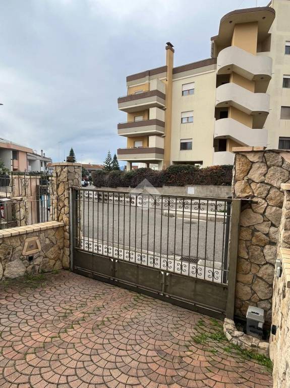 immagine annuncio 12 di 14