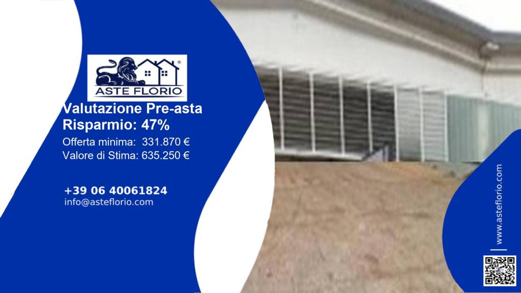 immagine annuncio 1 di 12