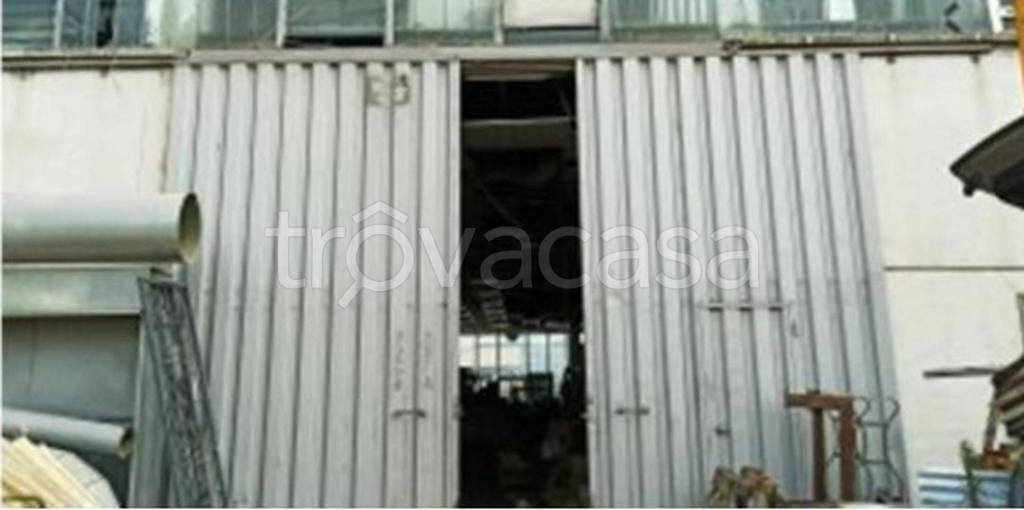 immagine annuncio 5 di 11