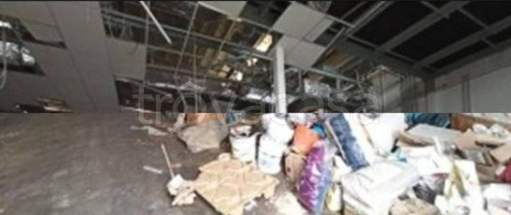 immagine annuncio 6 di 11