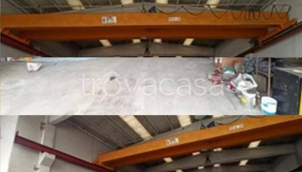 immagine annuncio 9 di 11