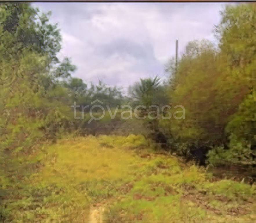 immagine annuncio 8 di 12