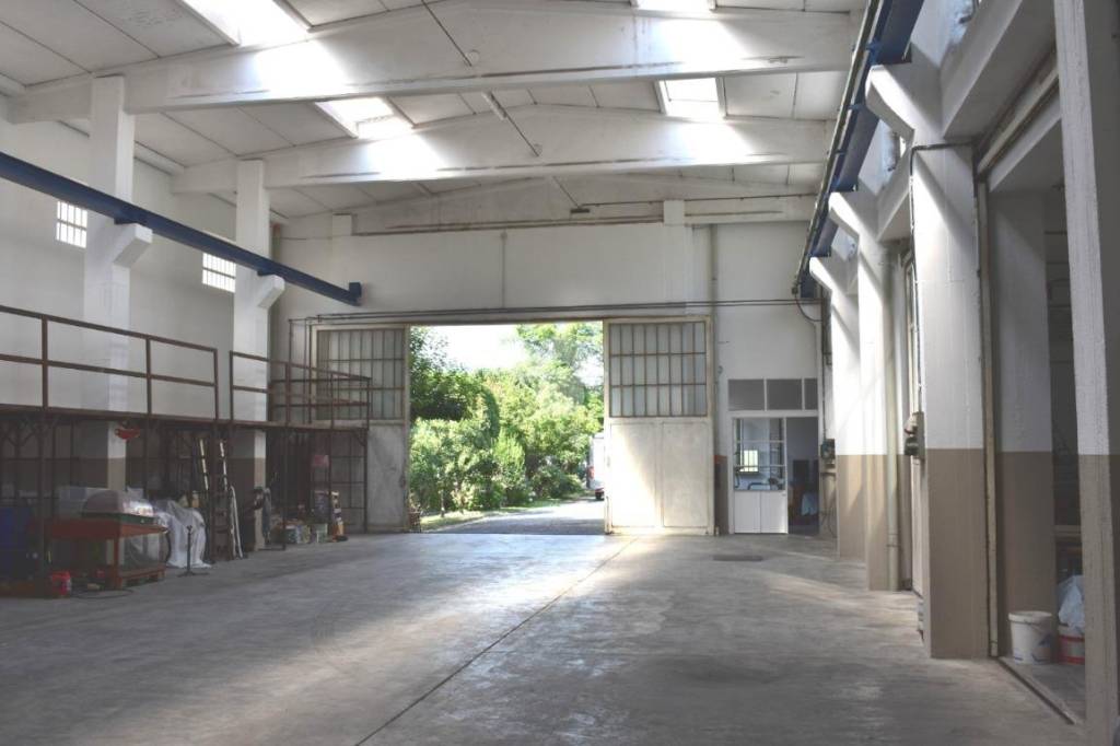 immagine annuncio 9 di 15