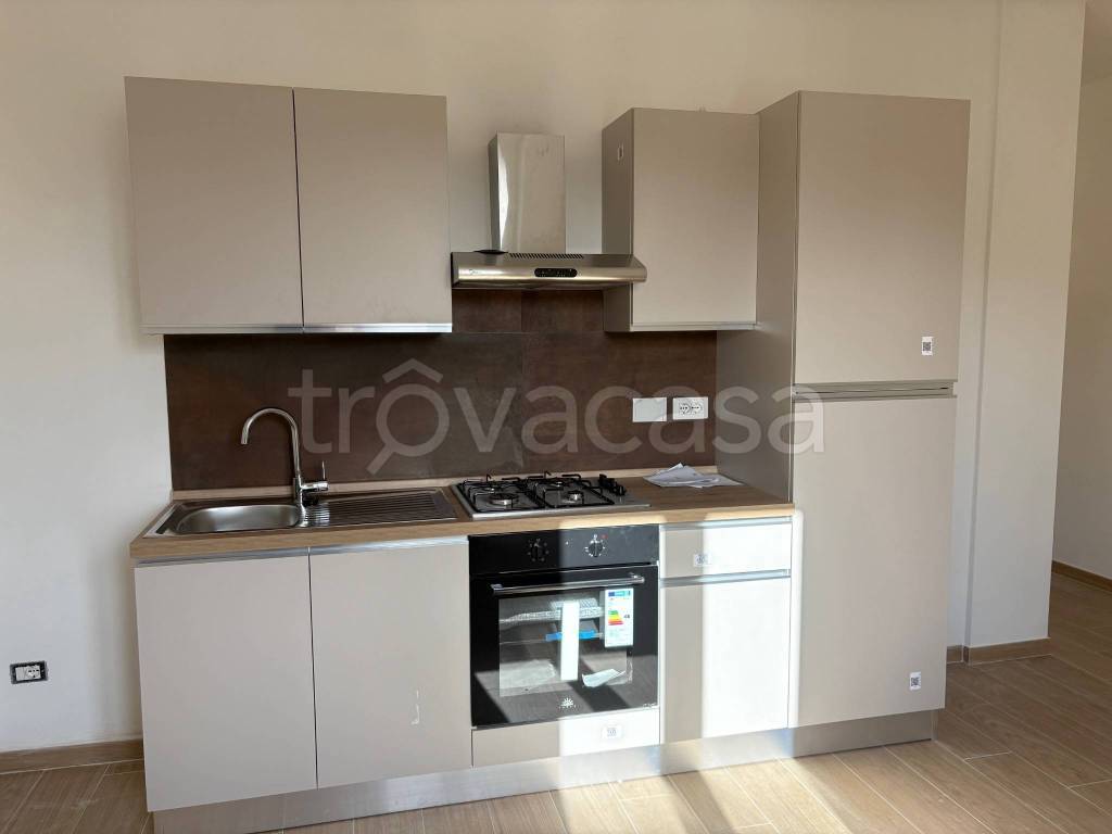 immagine annuncio 6 di 14