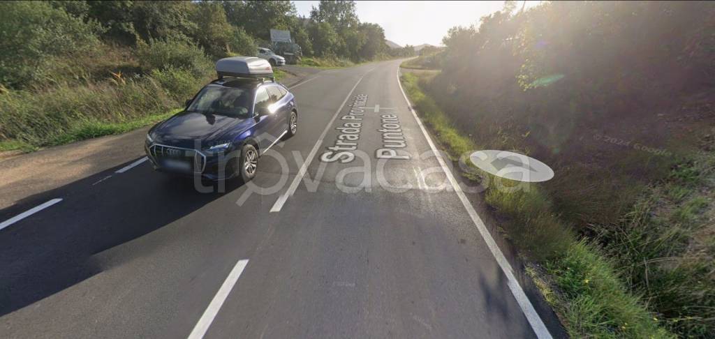 immagine annuncio 7 di 13