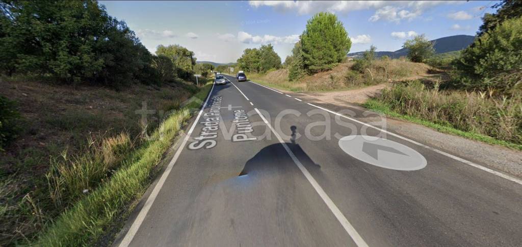 immagine annuncio 9 di 13