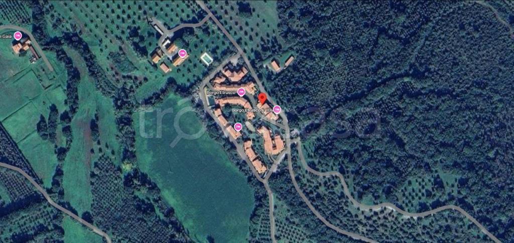 immagine annuncio 12 di 13