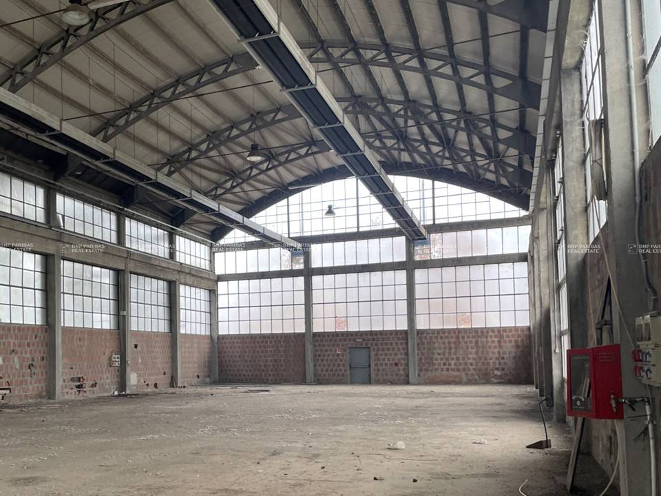 immagine annuncio 10 di 14