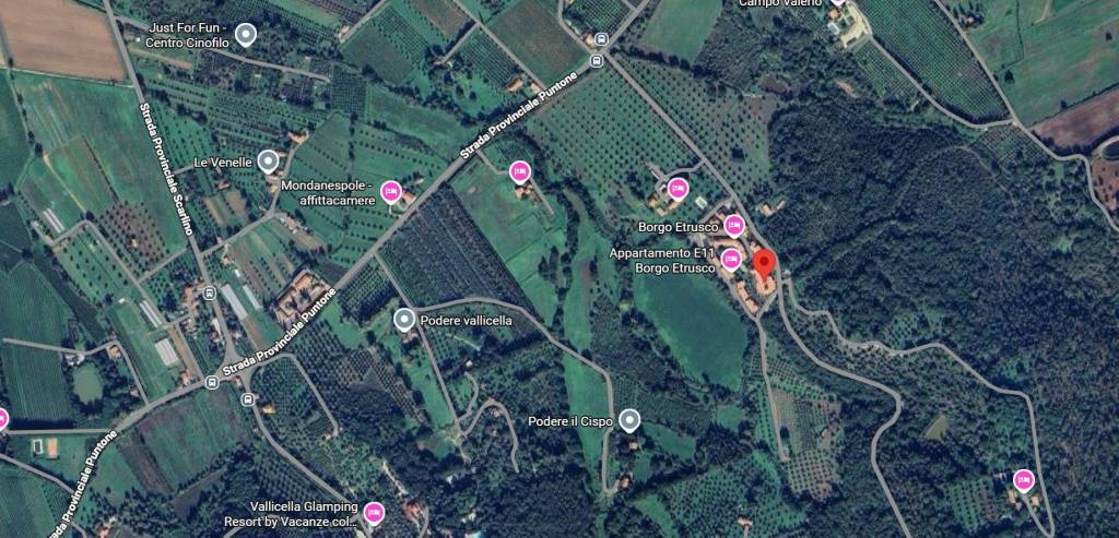 immagine annuncio 8 di 10